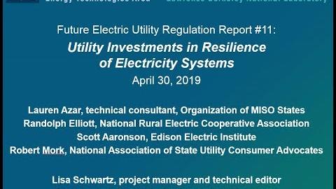 Utility Investments in Resilience of Electricity Systems